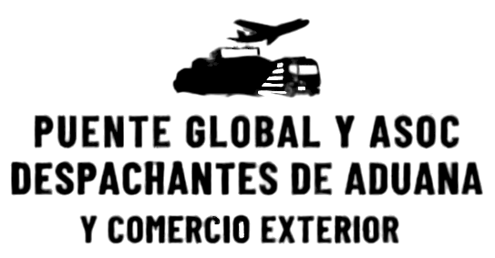 1000335241 1000335241